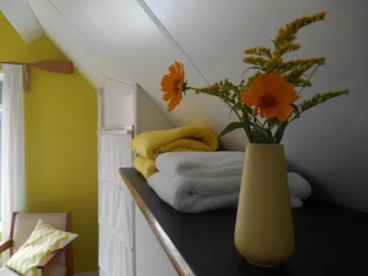 Bij en Boom Bed & Breakfast