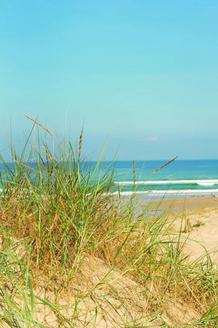 Résidence Vacances Bleues Domaine de l'Agreou