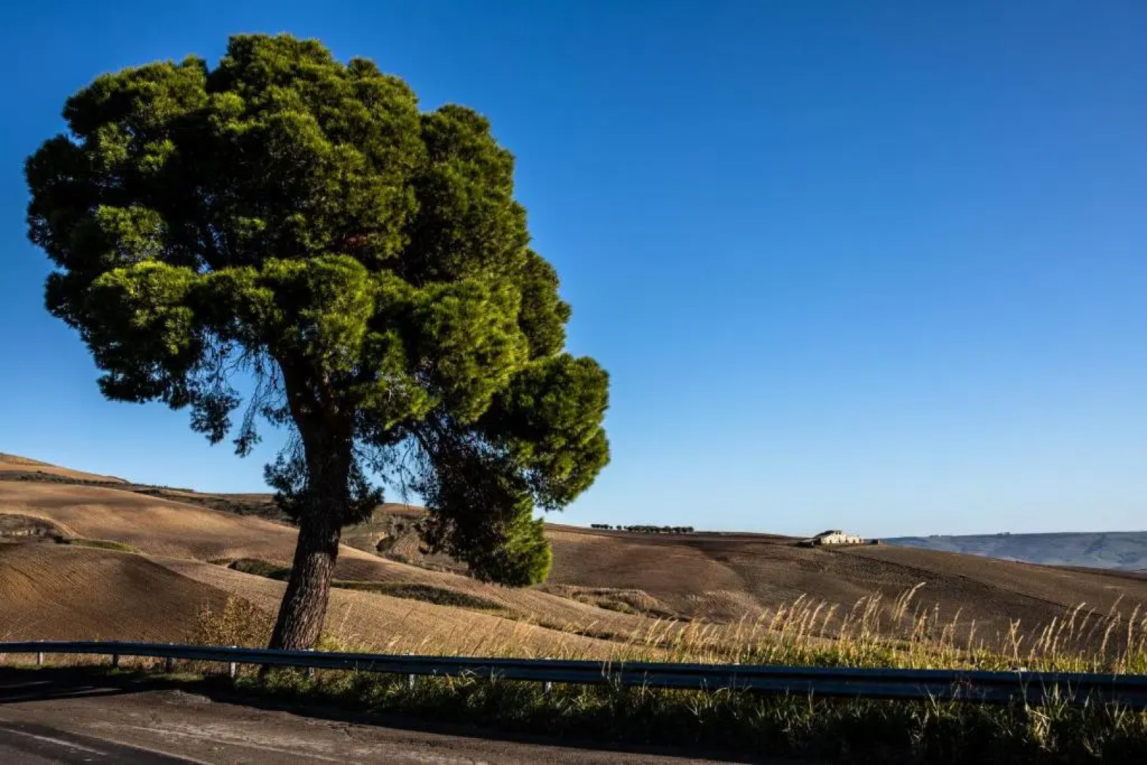 Vintage House in centro storico Basilicata Puglia