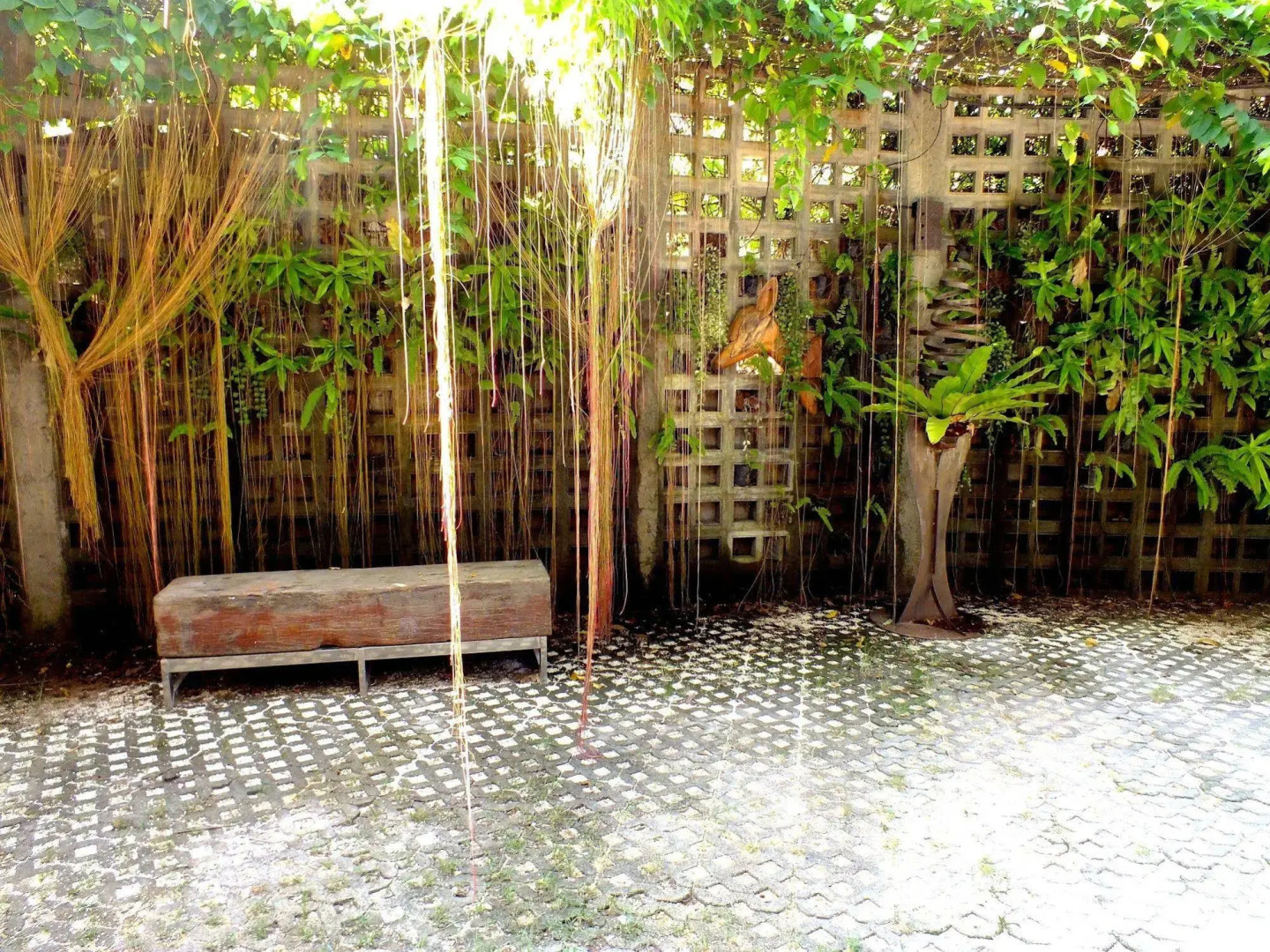 The Cave Studio Samui