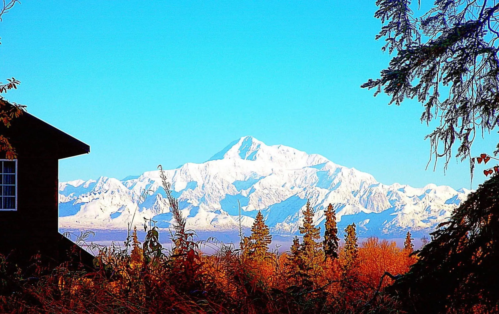 Grace and Bill's Freedom Hills