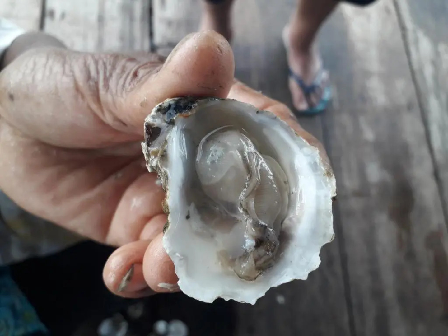 Hostal Casa del Mono Cuco