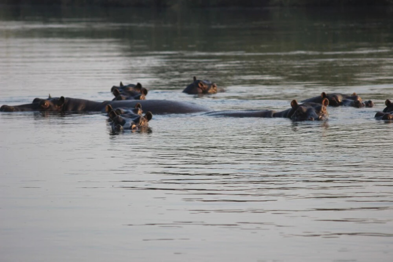 Ndhovu Safari Lodge - Campground