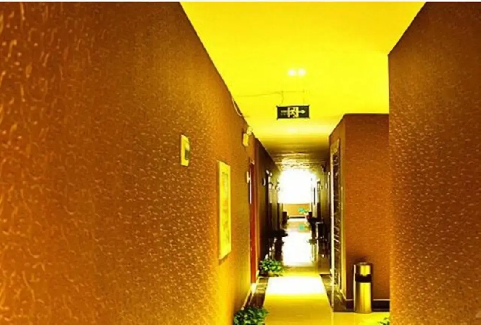 Xishuangbanna Aerial Garden Jinjiangnan Mekong River South Business Hotel