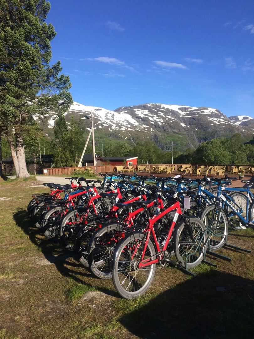 Vatnahalsen Høyfjellshotell