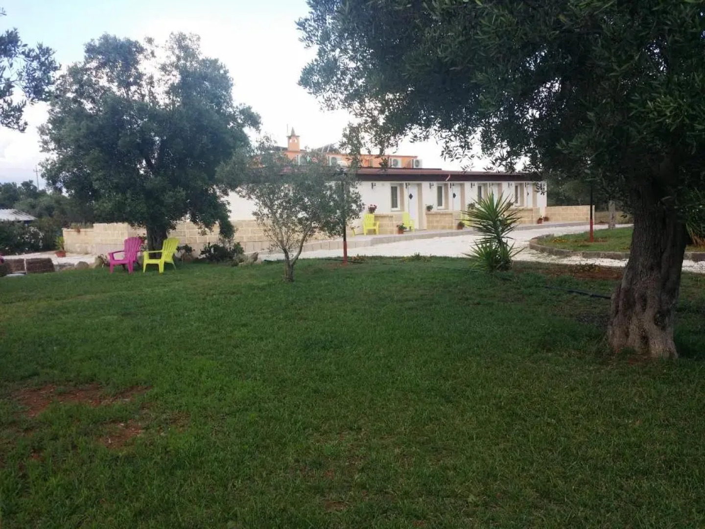 Agriturismo Terra D'Ulivi