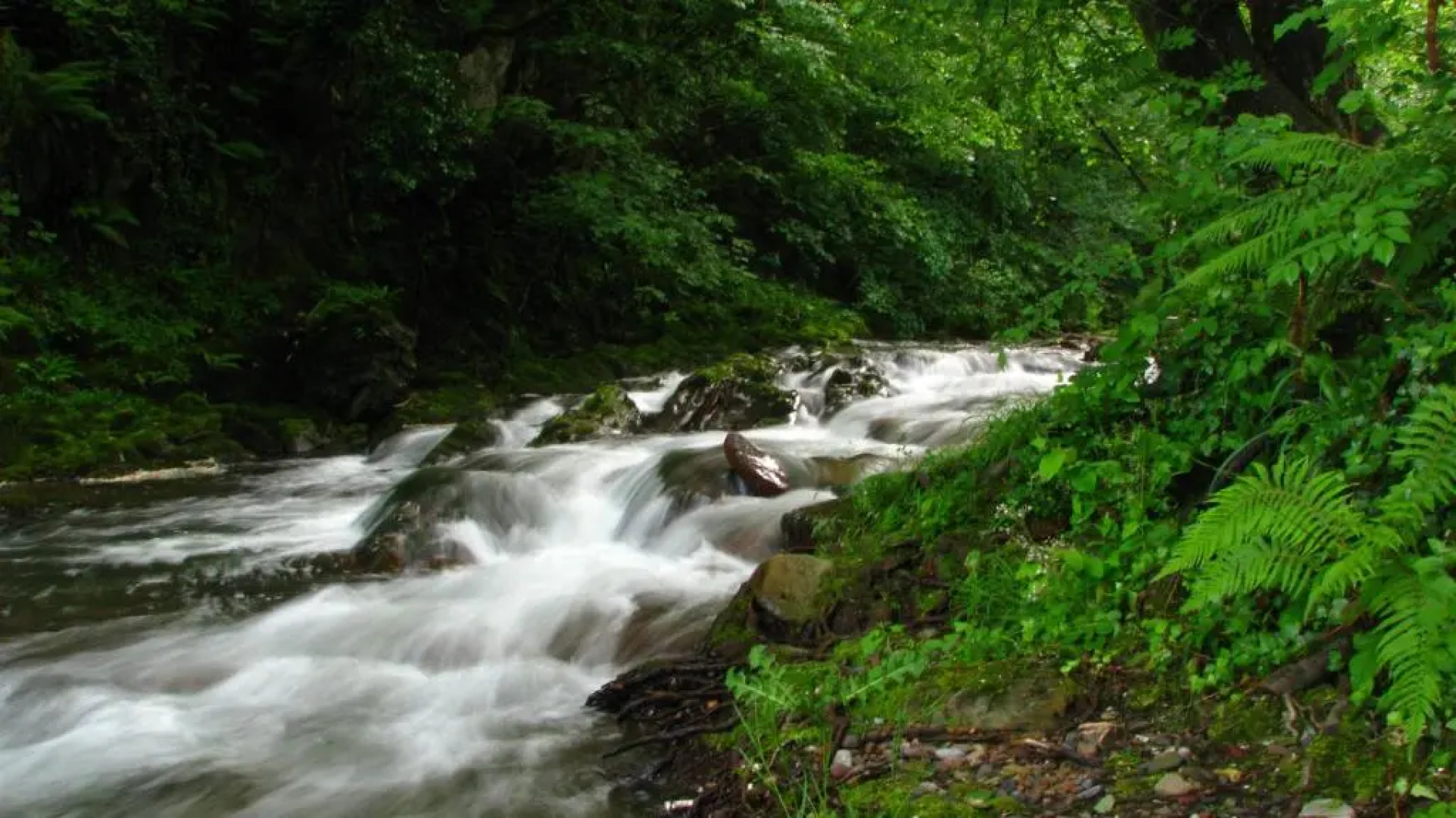 Albergue Olasenea Aterpea