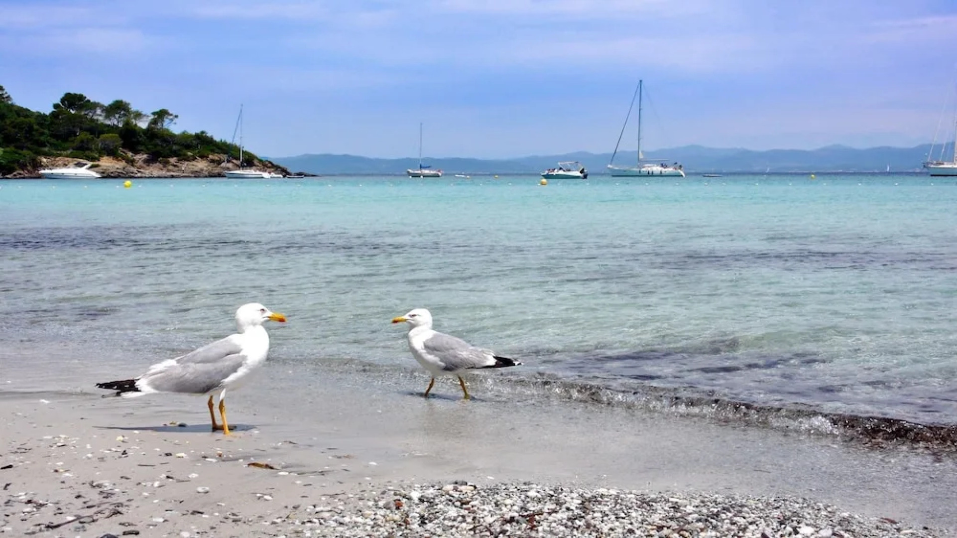 House With 3 Bedrooms in Grans, With Pool Access, Furnished Garden and