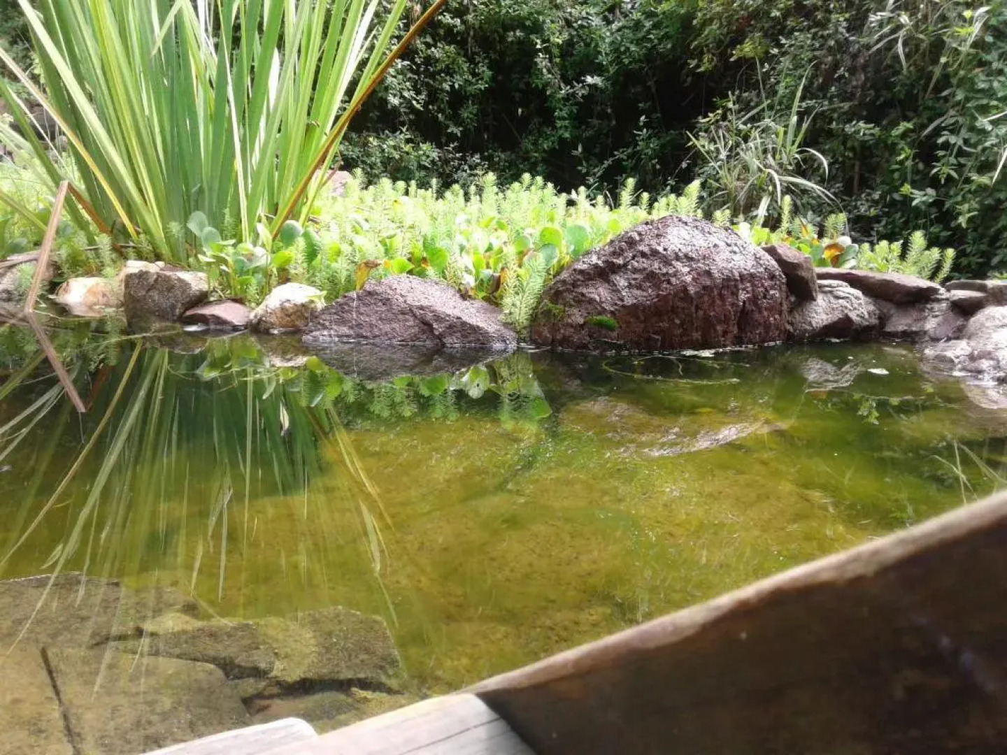 Casita de Piedra B&B