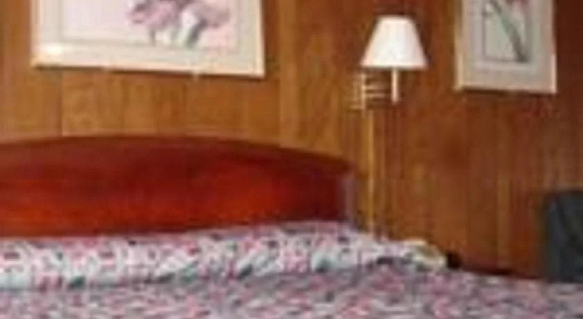 Washington & Lee Motel