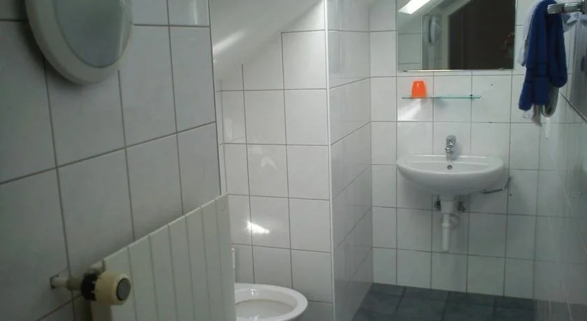 Hotel Restaurant Roessli