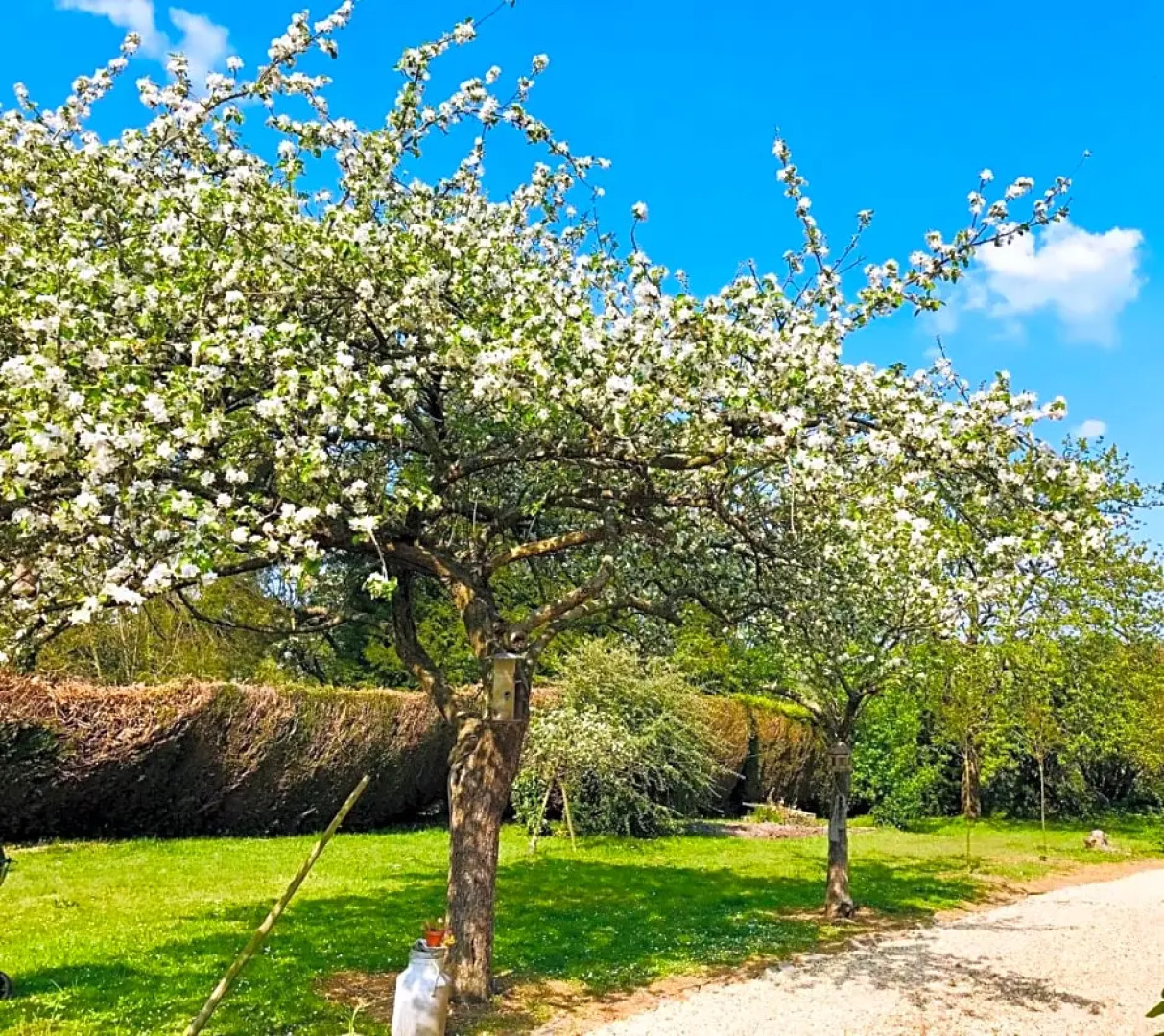 l'Atelier au jardin d'Isabelle