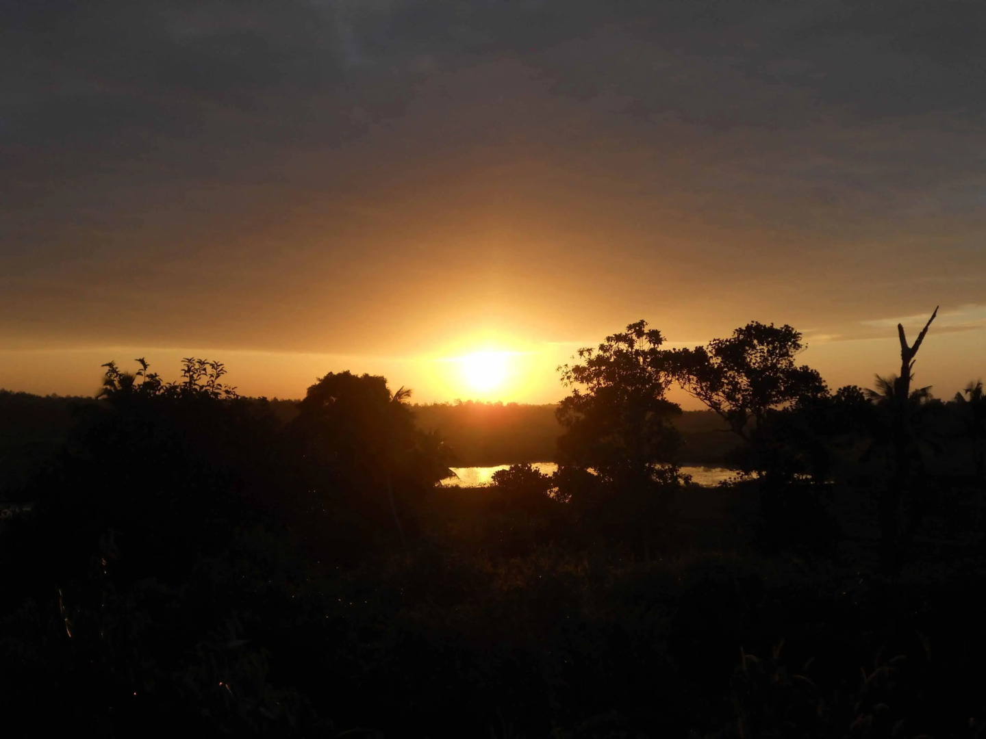 Oriole Boutique Villas