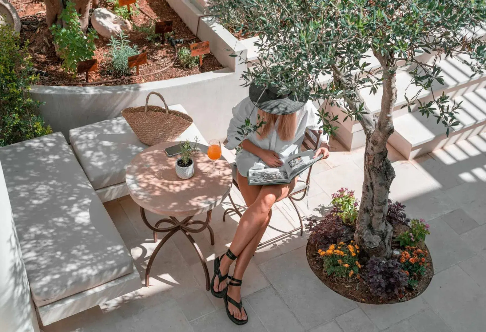 Inotropes Boutique Suites