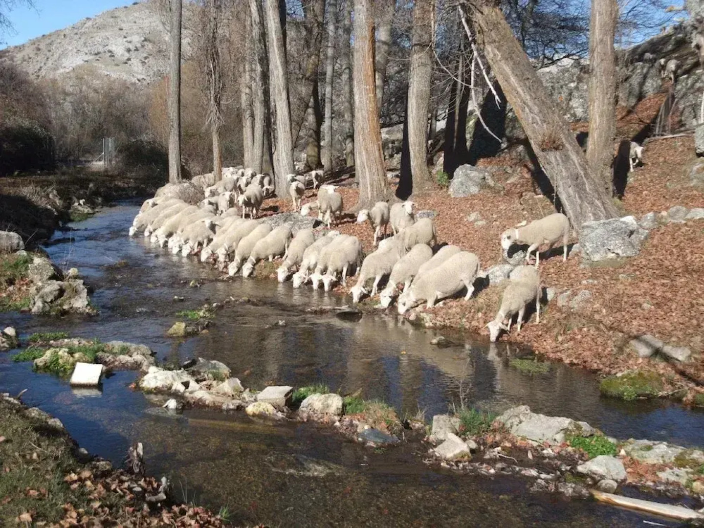 Casa Rural El Nacimiento