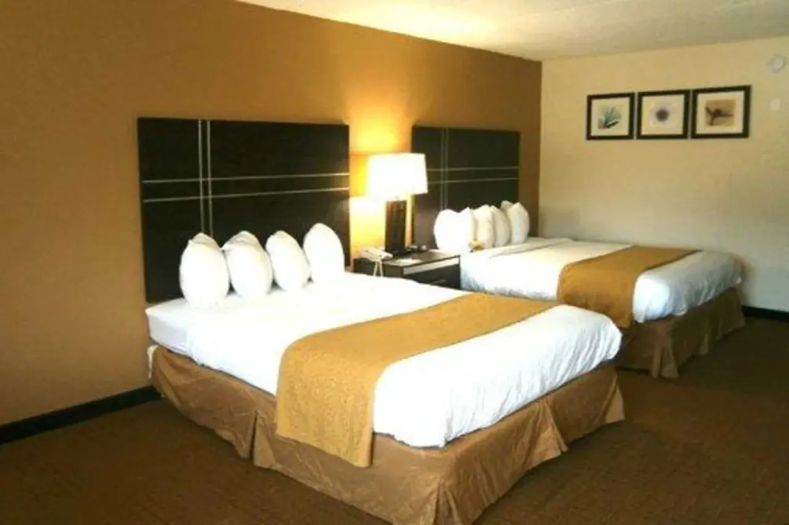 Quality Inn & Conference Center