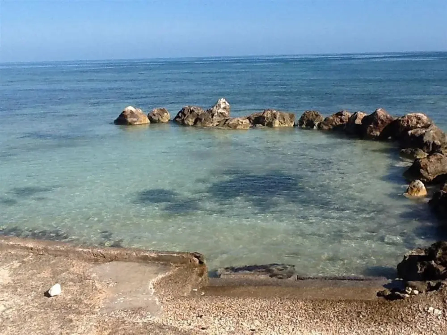 Royal Reef