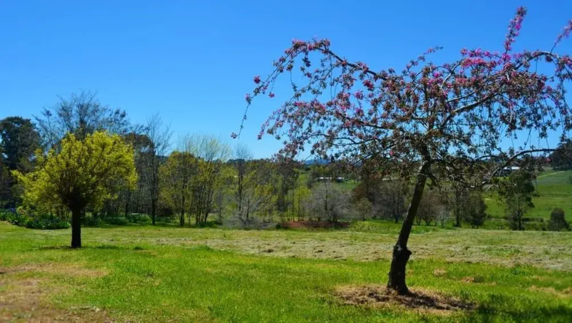 Greentrees Guest House