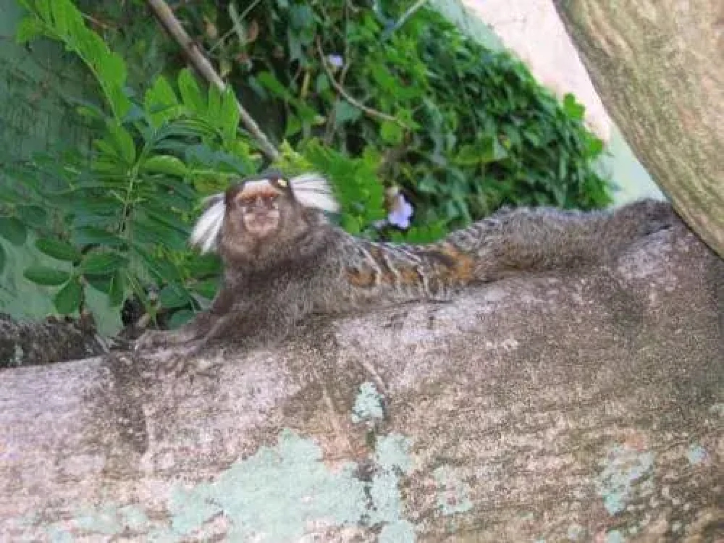 Pousada Dos Artistas