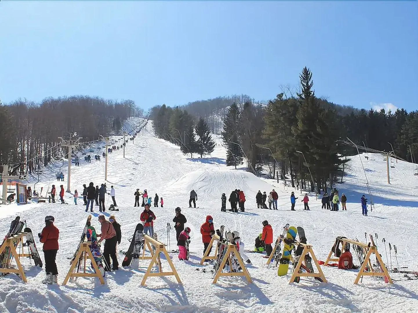 Maplewood Bed & Breakfast