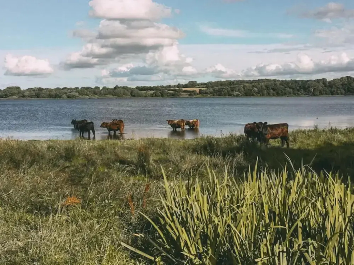 Spacious Apartment With Balcony