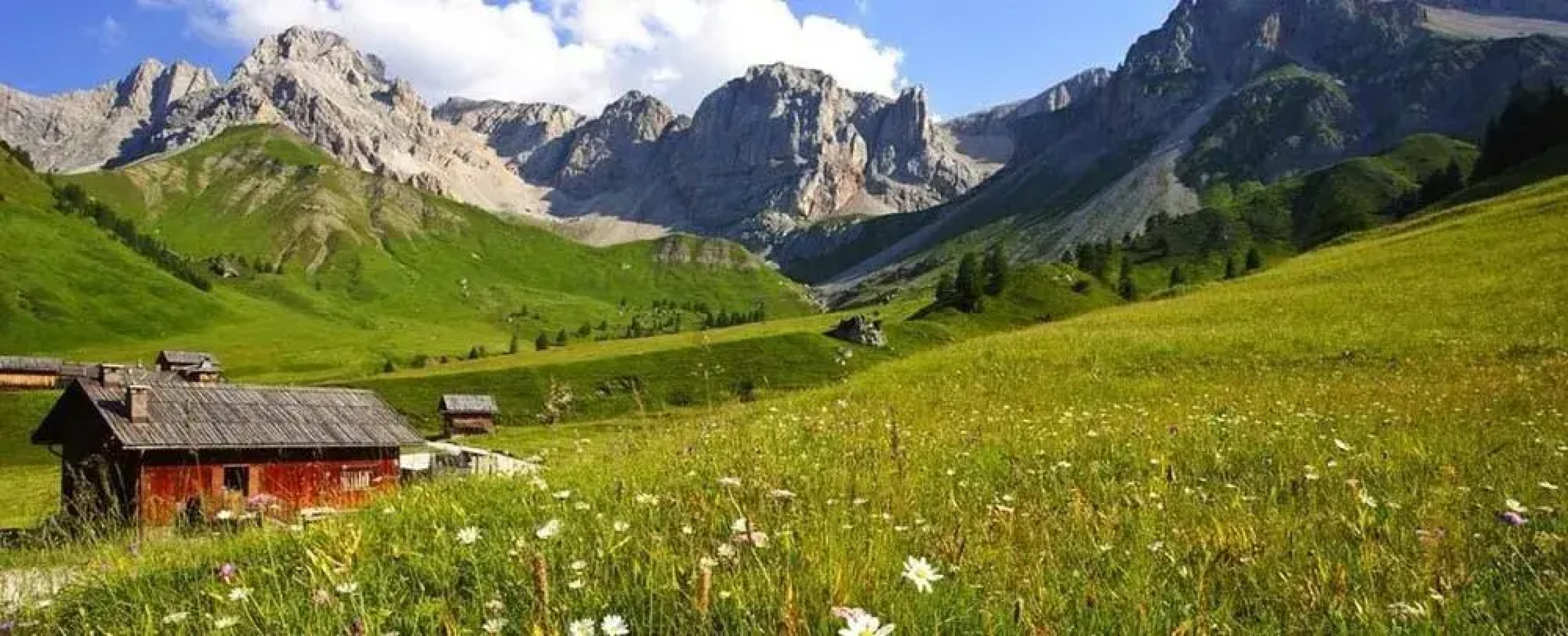 Alpenсolor Hotel Tonale