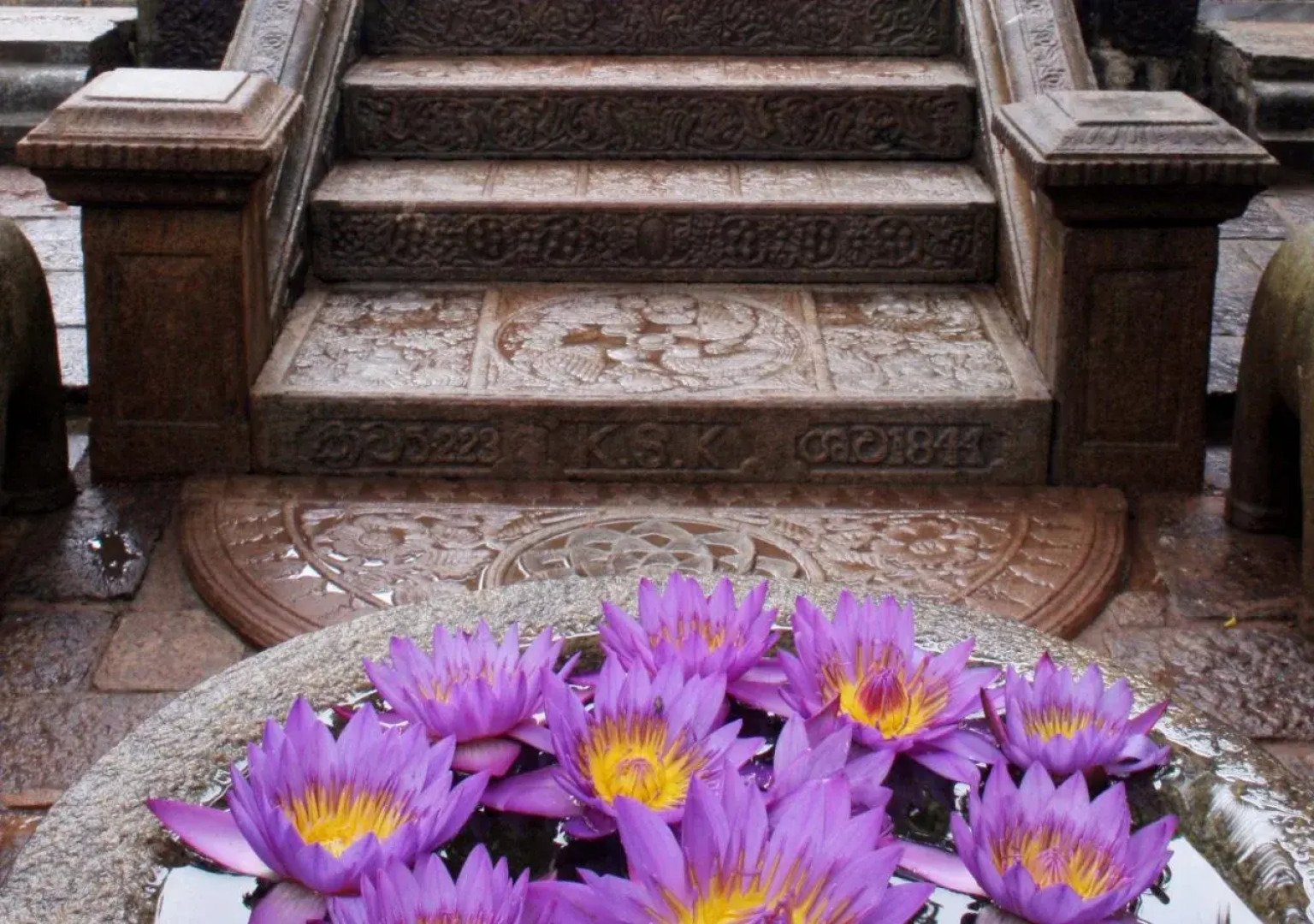 Maduganga Villa Amazing Island Resort