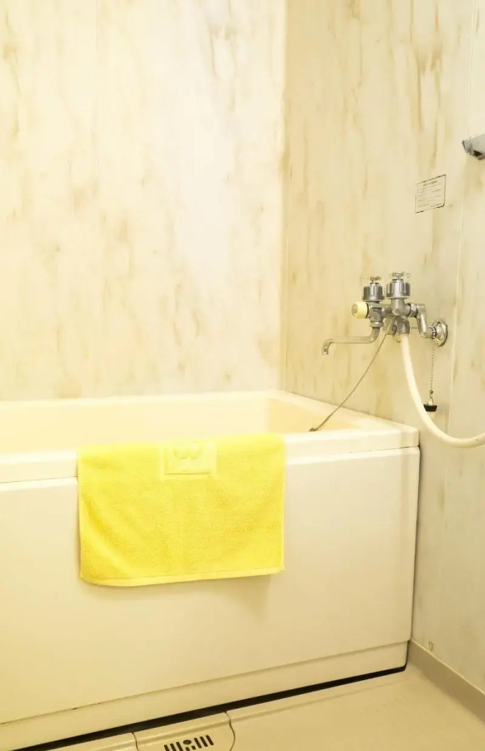 Hikone Station Hotel