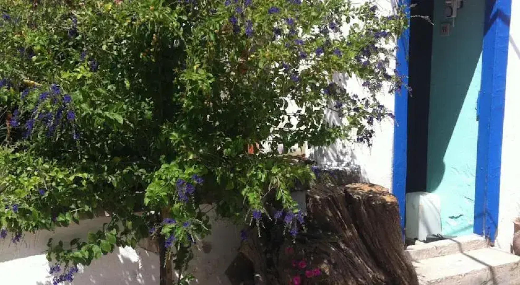 Bedriye Hanim Konagi Guest House