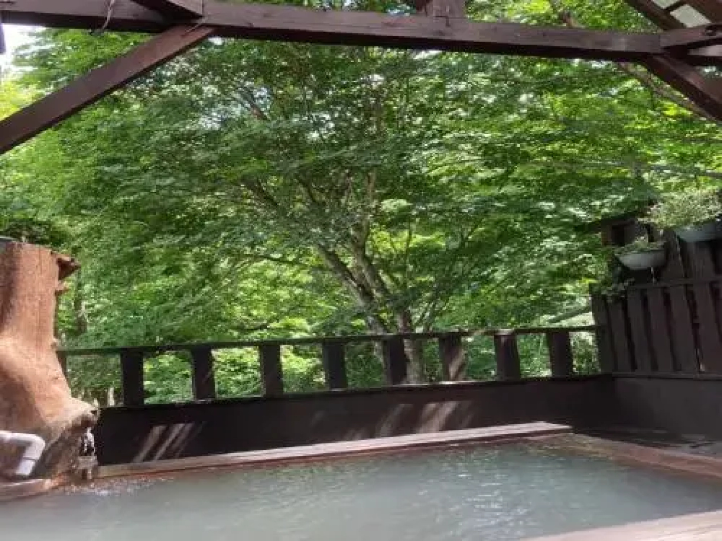 Shinyu Onsen Kurikomaso