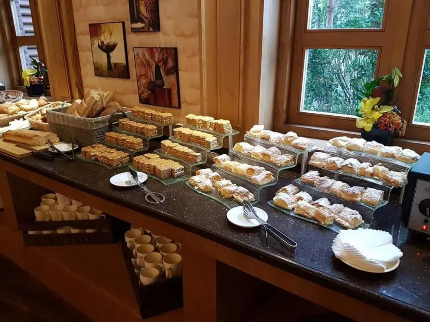 Dreamland Oasis 9 Chakvi