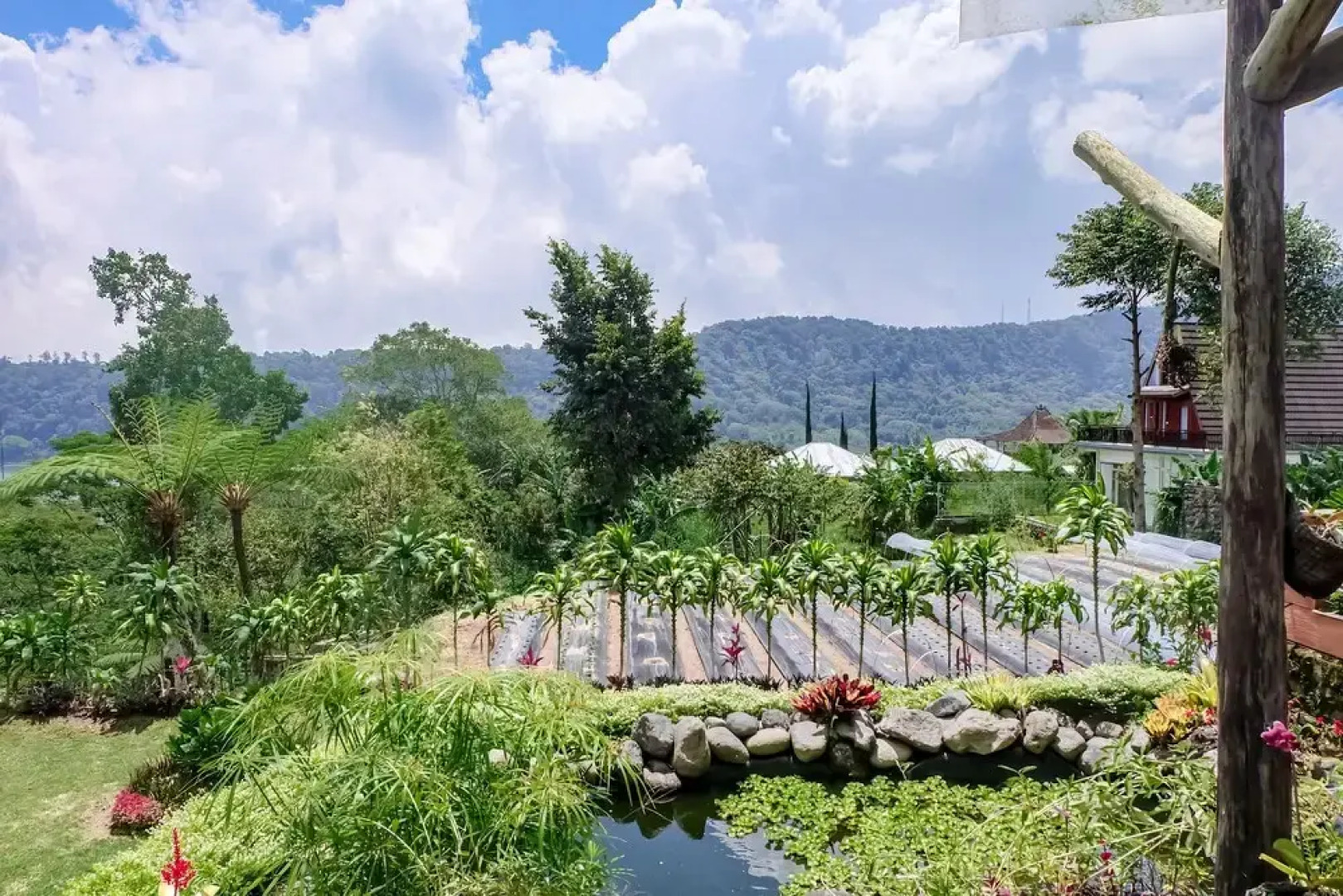 Secret Lodge Bedugul by Taritiya Collection