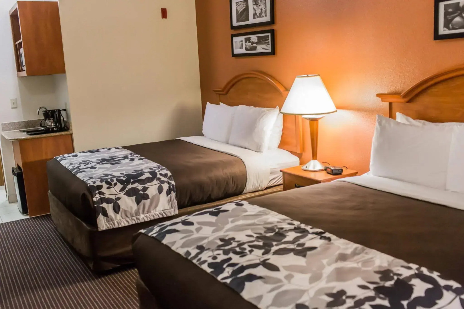 Sleep Inn & Suites Stafford - Sugarland