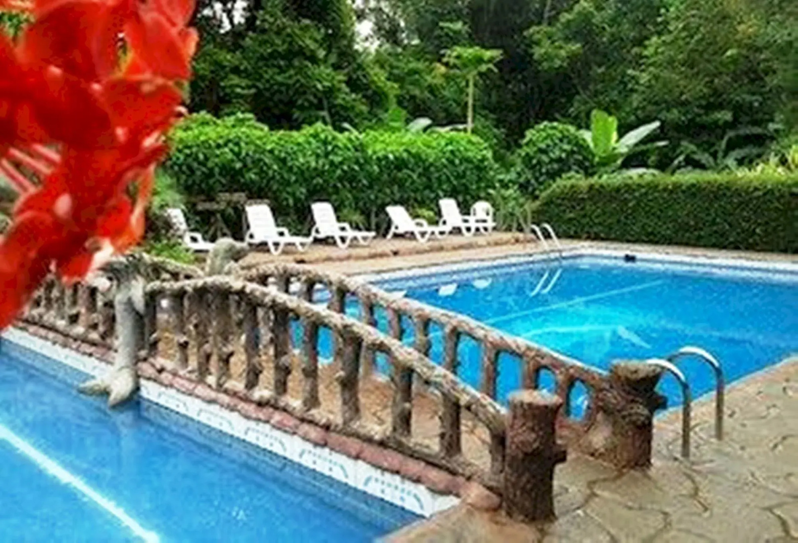Ara Ambigua Lodge