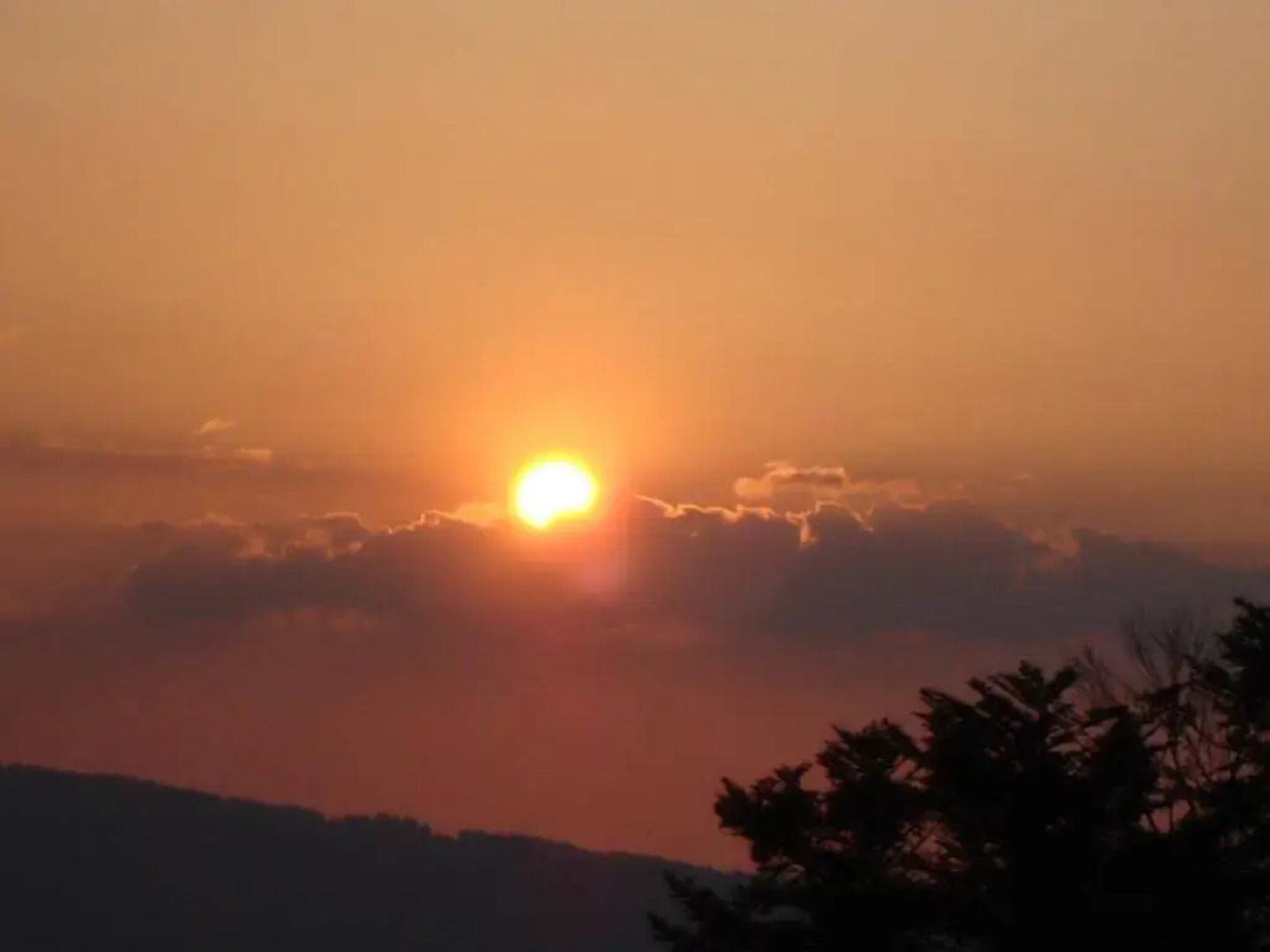 Ferienhof Krindenhof