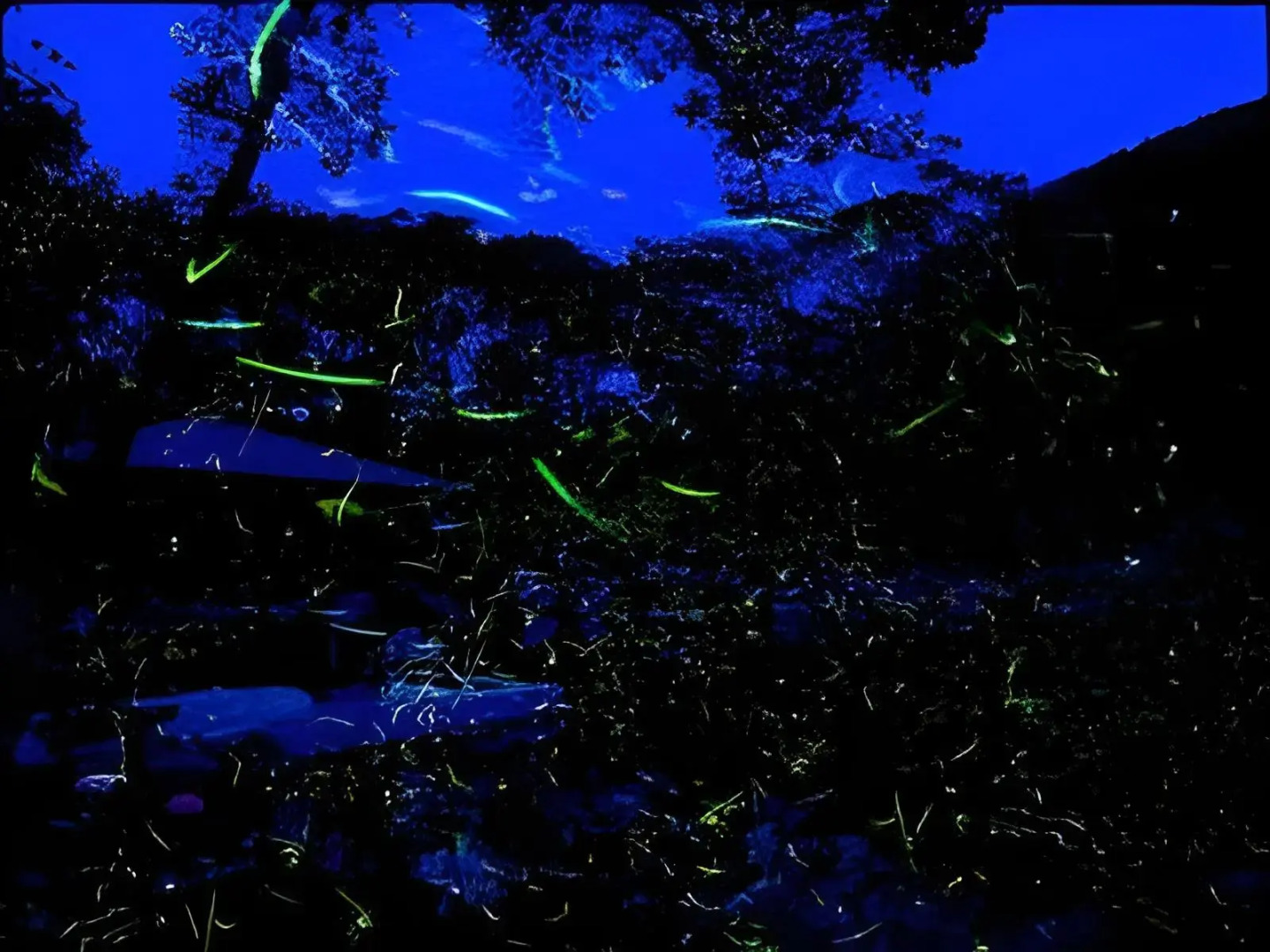 Atagawa Onsen Takami Hotel