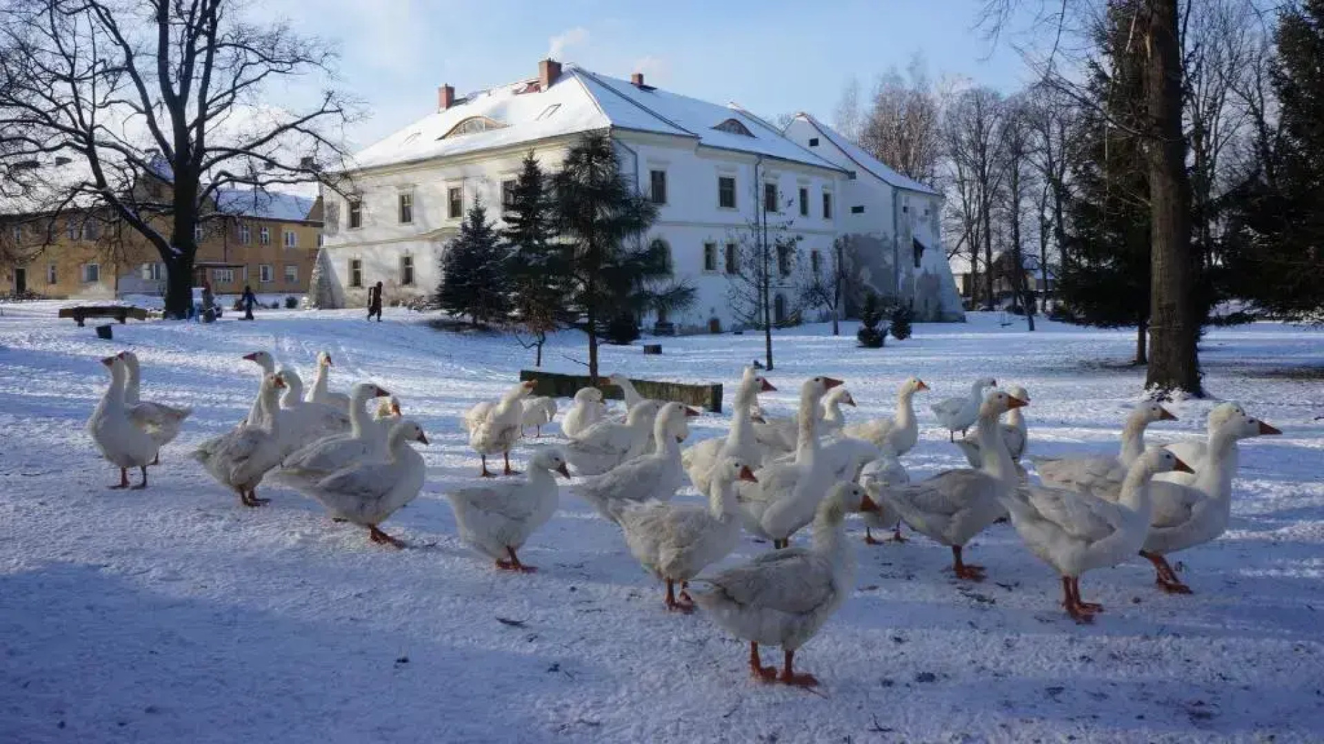 Piotrowice Nyskie Palace