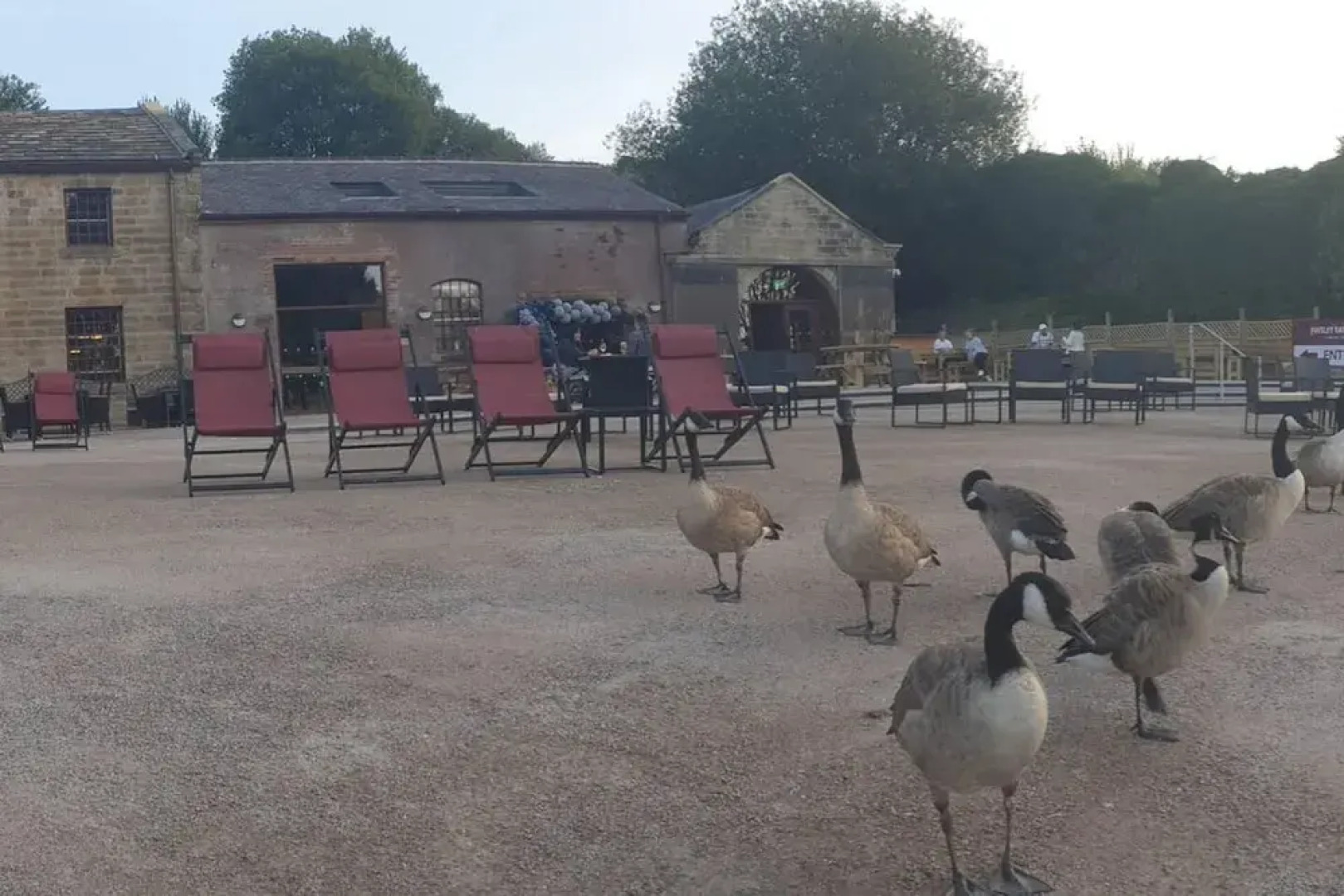 1700s Canalside Cottage Sleeps up to 12 Guests