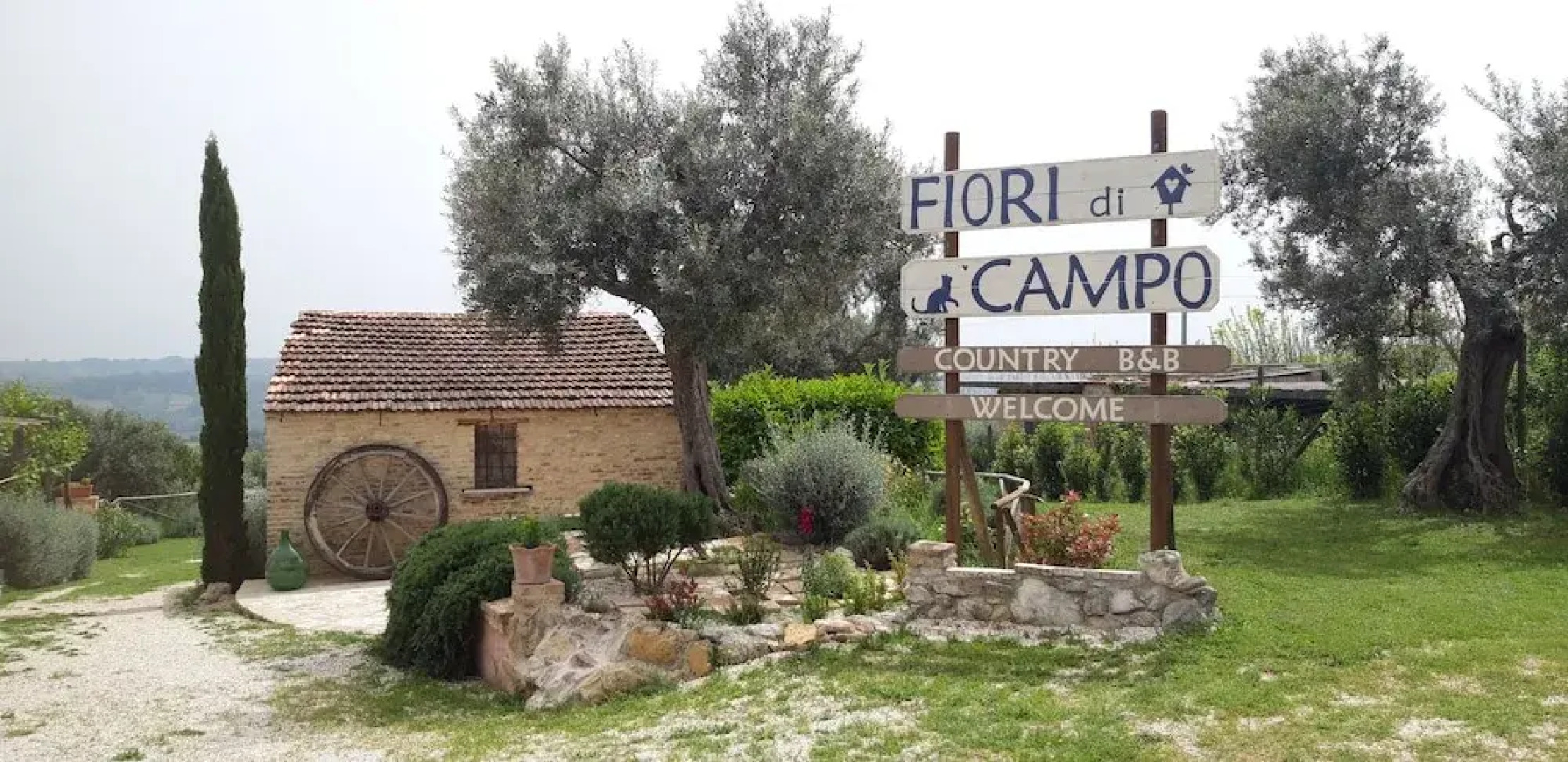Fiori Di Campo