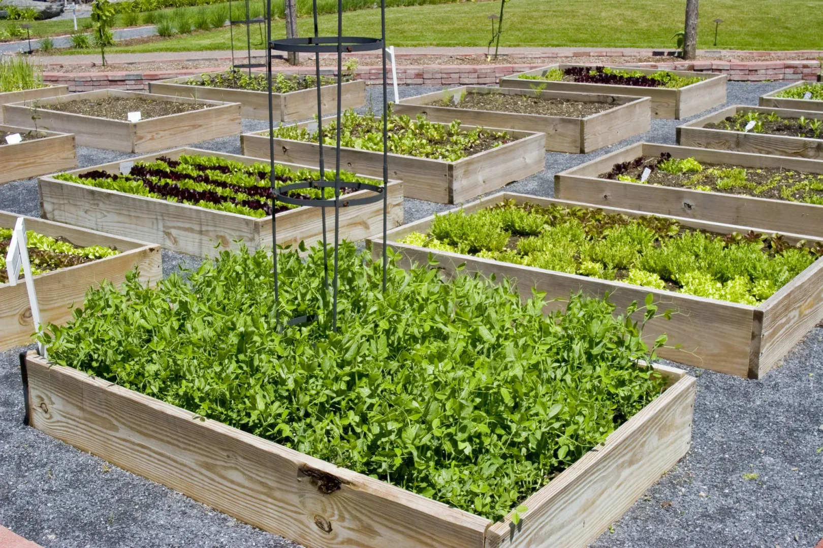 The Essex Resort & Spa