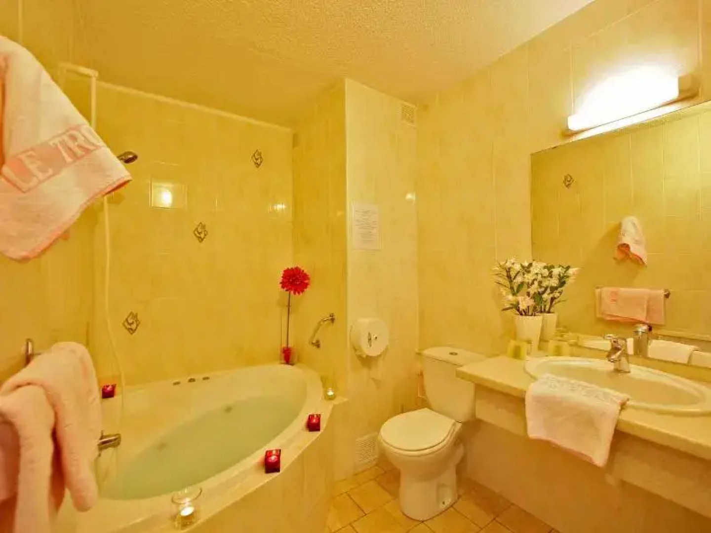 Logis Hôtel le Tropicana