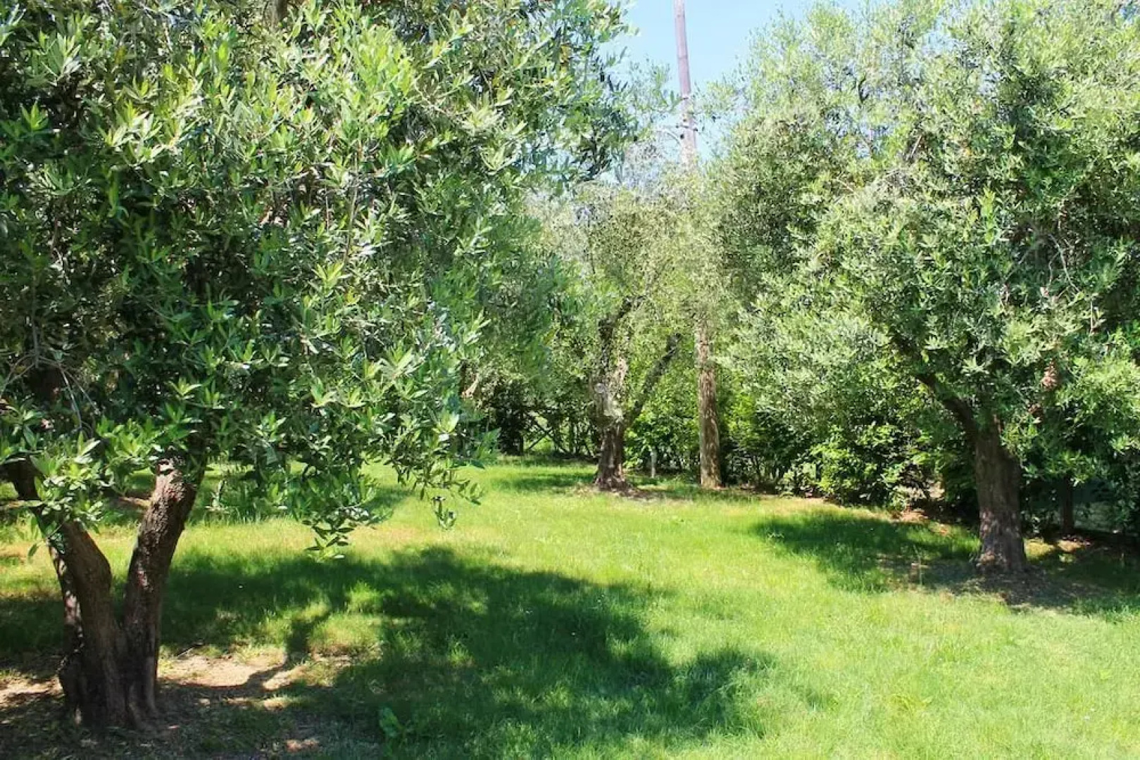 B&b Agli Ulivi Di Mascio