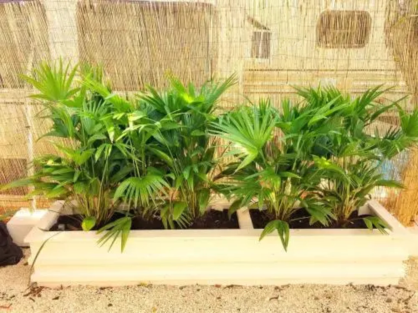 2 bedroom, beautiful patio, pool, beach, marina