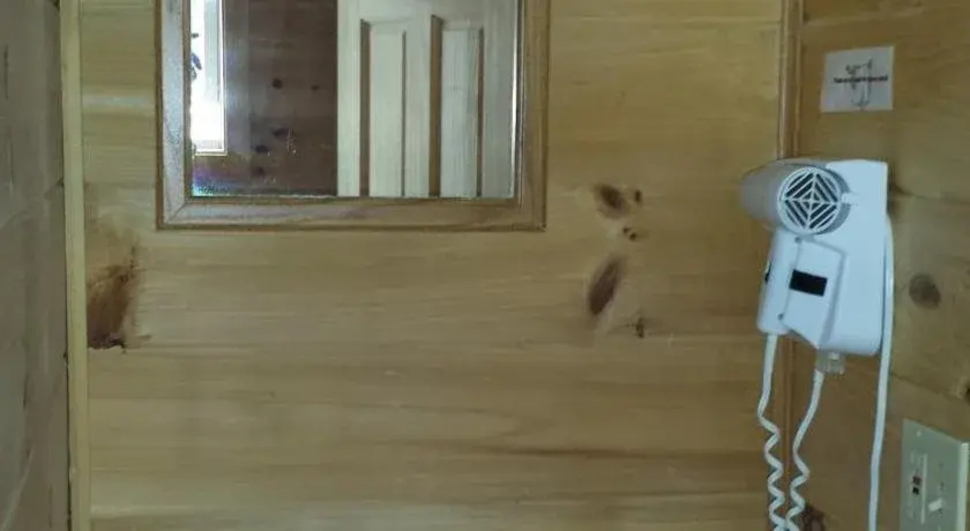 Weirs Beach Motel and Cottages