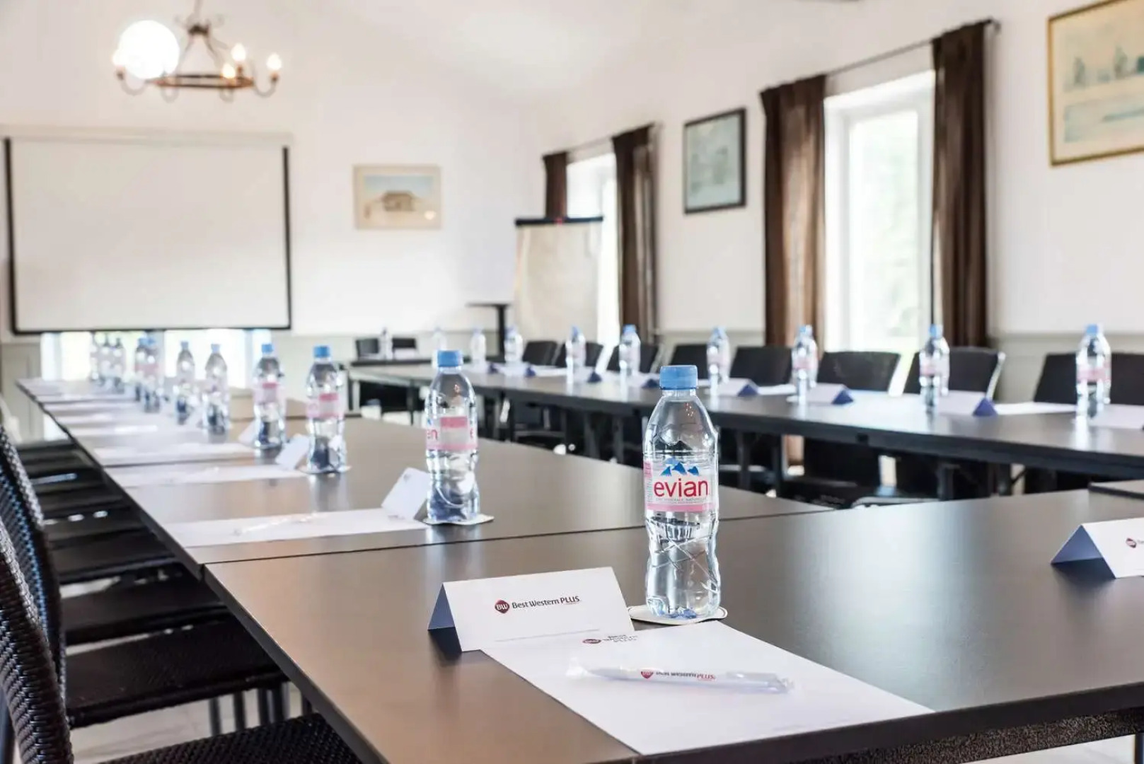 Le Canard Sur Le Toit