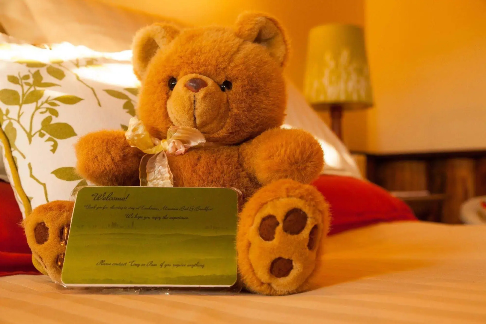 Tamborine Mountain B&B