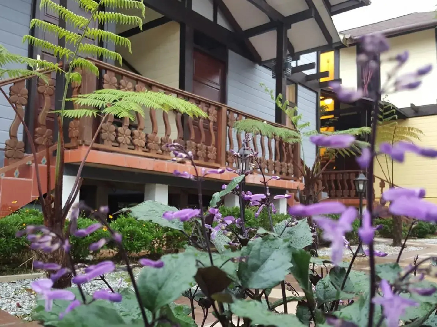 Casa Loma Cameron Highlands