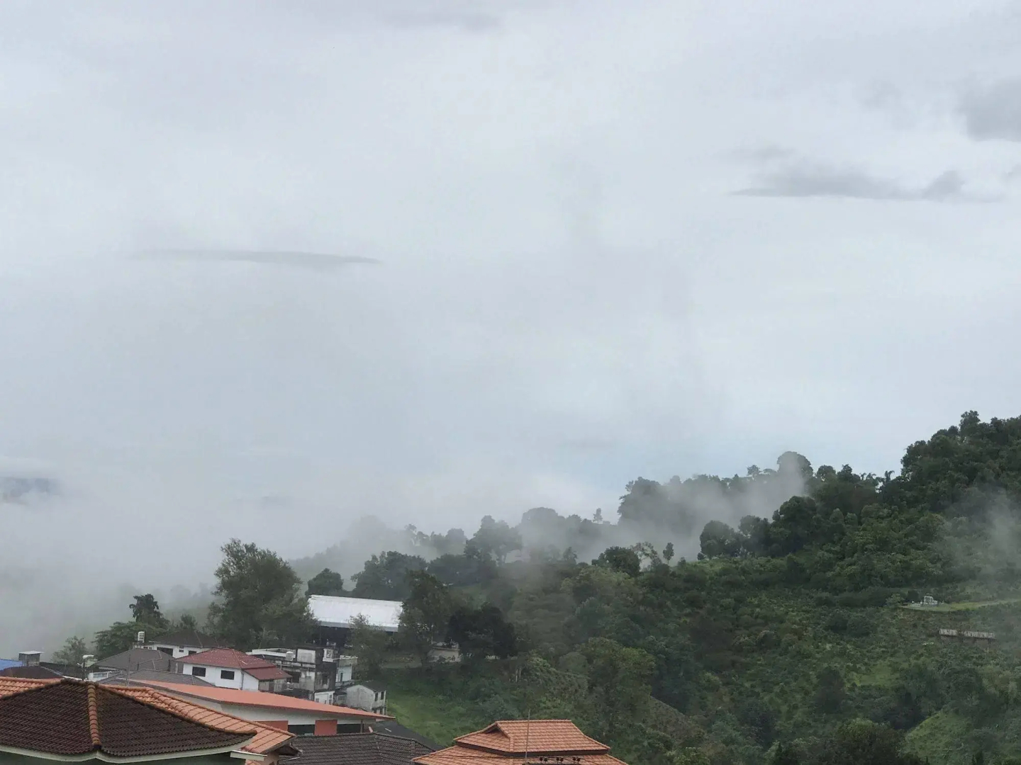 Shin Sane Guesthouse