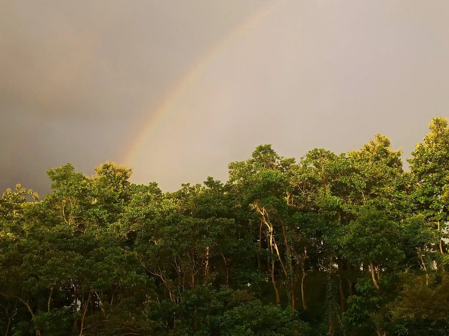 Bono Nibas Hill Resort Bandarban