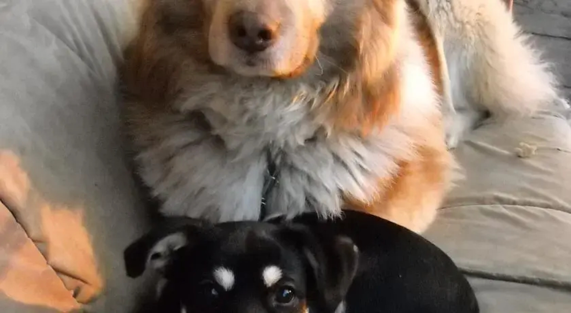 Agroturystyka Chłopy